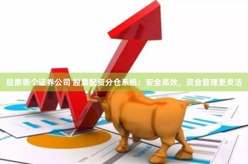 股票哪个证券公司 股票配资分仓系统：安全高效，资金管理更灵活
